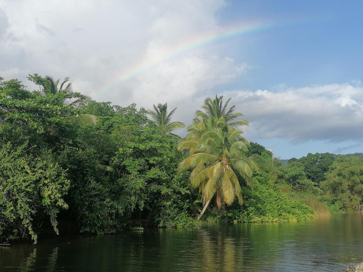 Insolite Arawakane Gites Du Manial Pointe-Noire Exterior photo