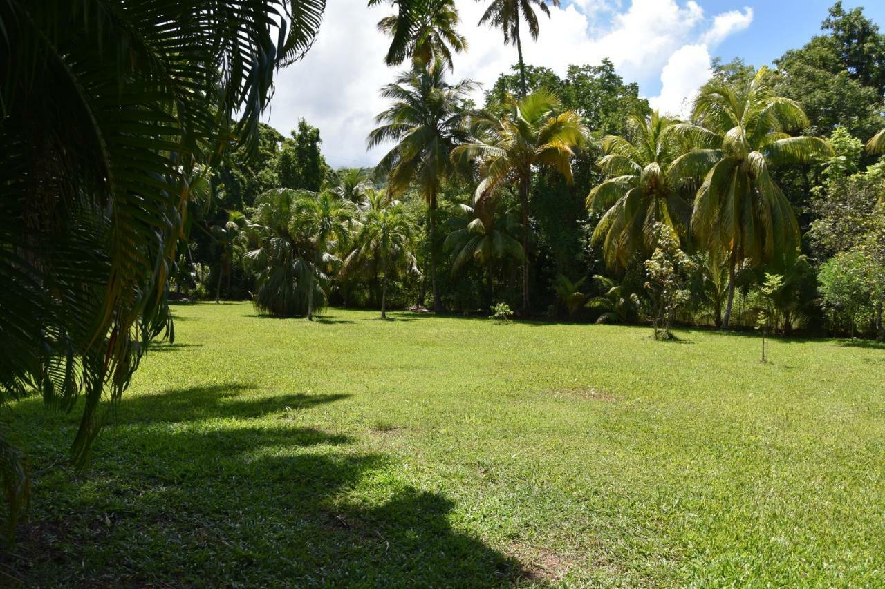 Insolite Arawakane Gites Du Manial Pointe-Noire Exterior photo